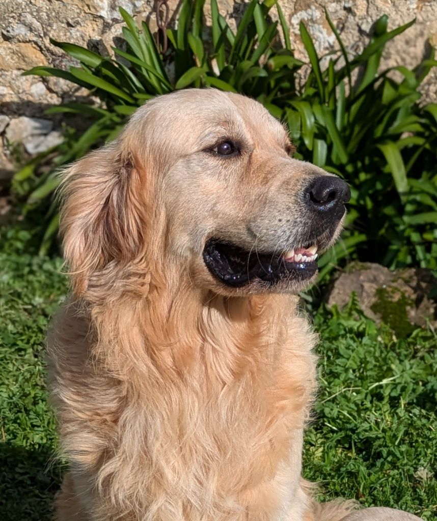 Tao Les Jardins De Thalys