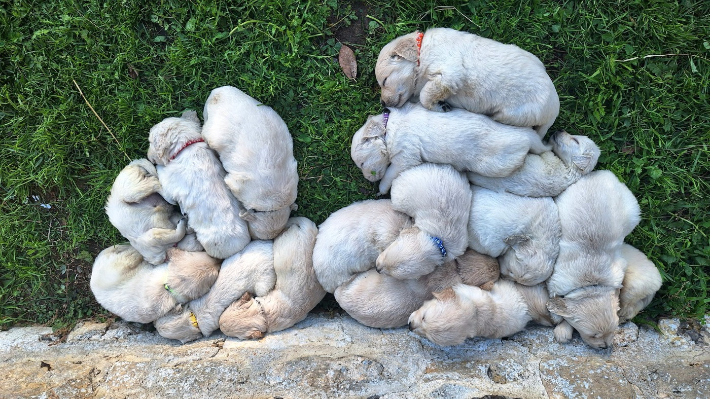 Naissances 2025 - une année exceptionnelle !