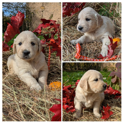 Collier orange et blanc