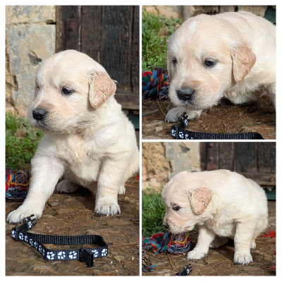 Collier noir et blanc