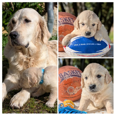 Collier Bleu clair et blanc